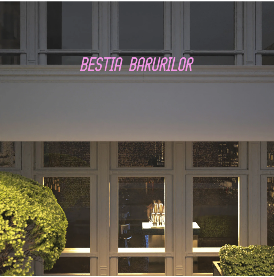 Custom text: BESTIA BARURILOR